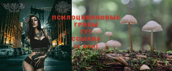дистиллят марихуана Заводоуковск