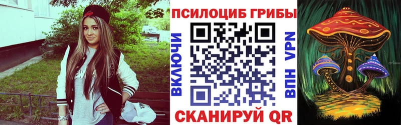 Купить закладки  Рошаль  Галлюциногенные грибы MAGIC MUSHROOMS 